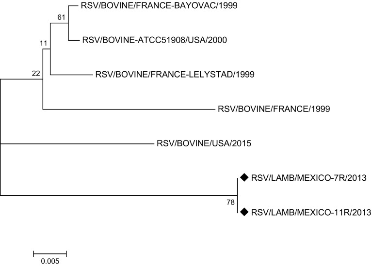 Fig. 3