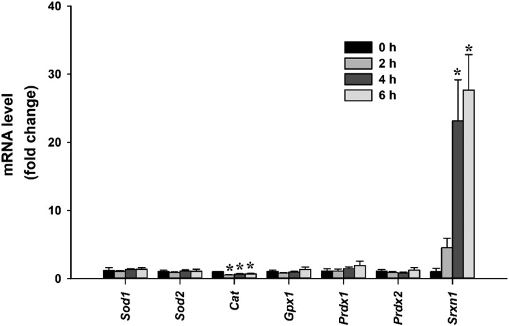 Figure 2.