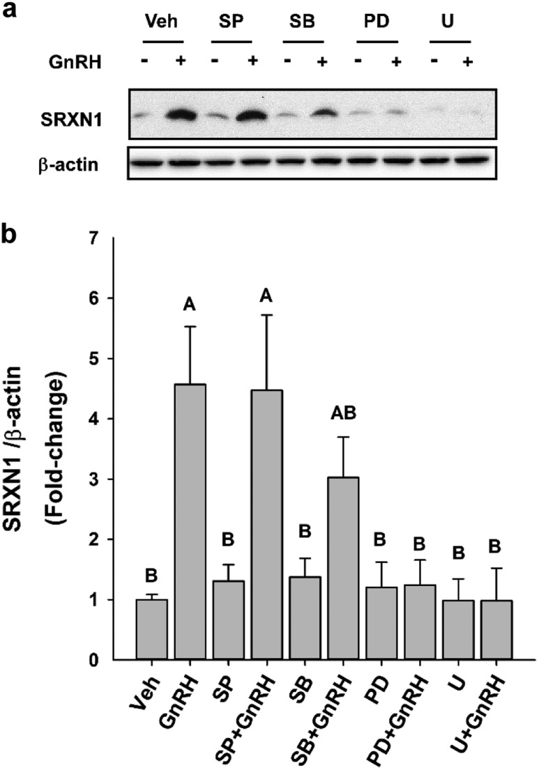 Figure 6.