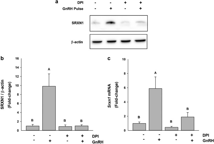 Figure 5.