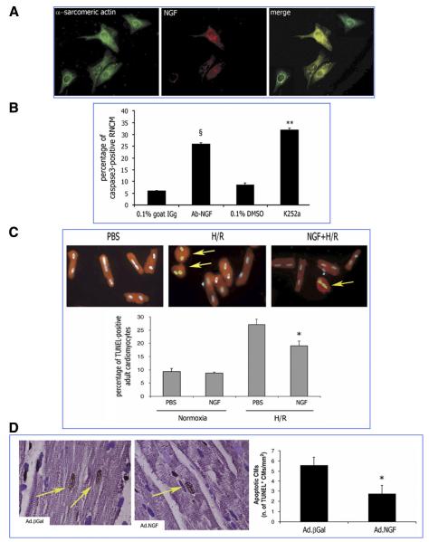 FIG. 7