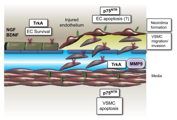 FIG. 9