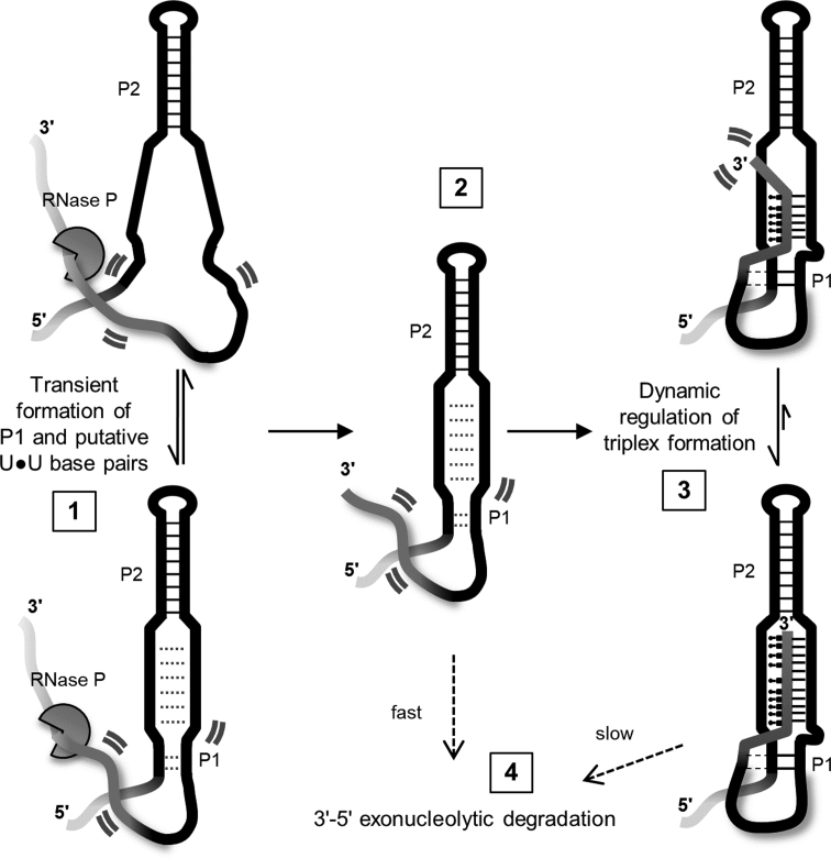 Figure 6.