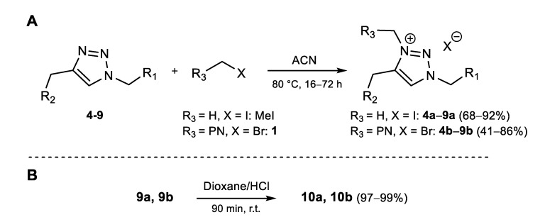 Scheme 2