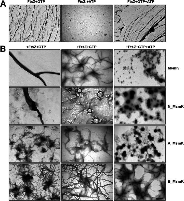 FIG 3