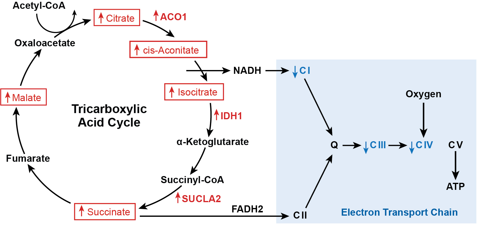 Figure 3: