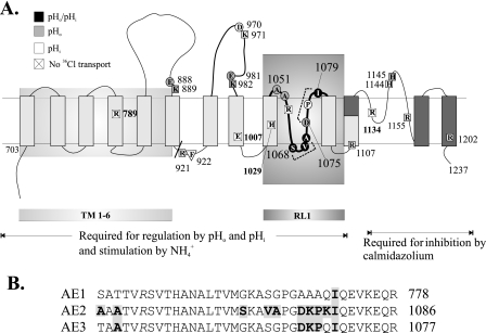 FIGURE 9.