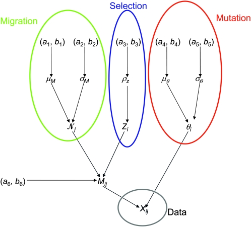 Figure 1.—