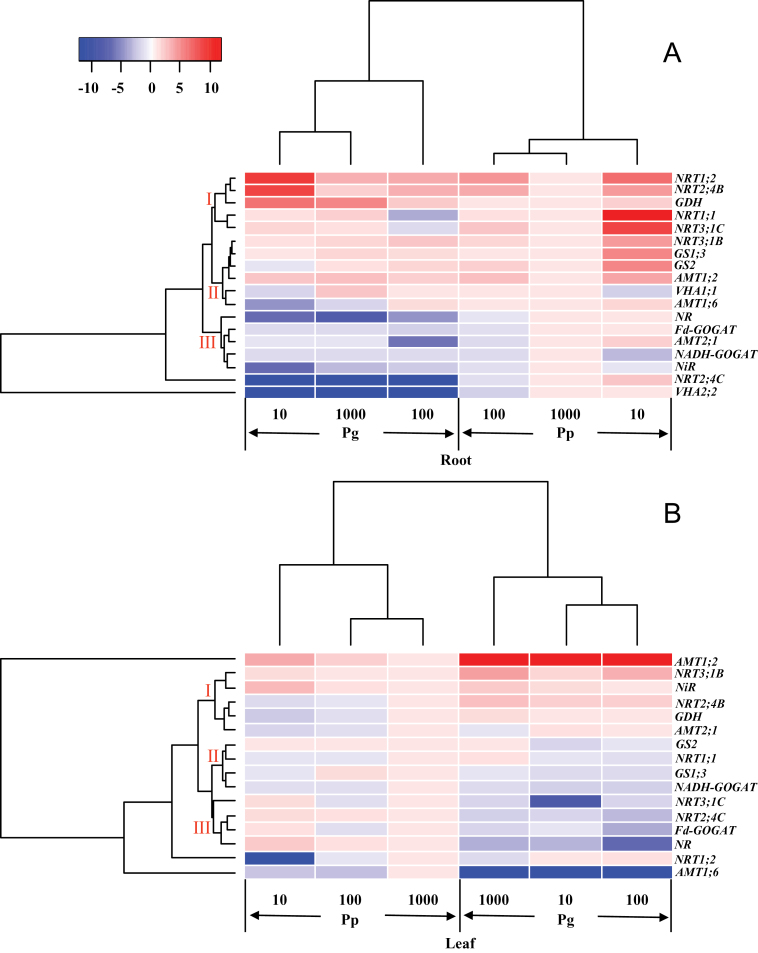 Fig. 8.