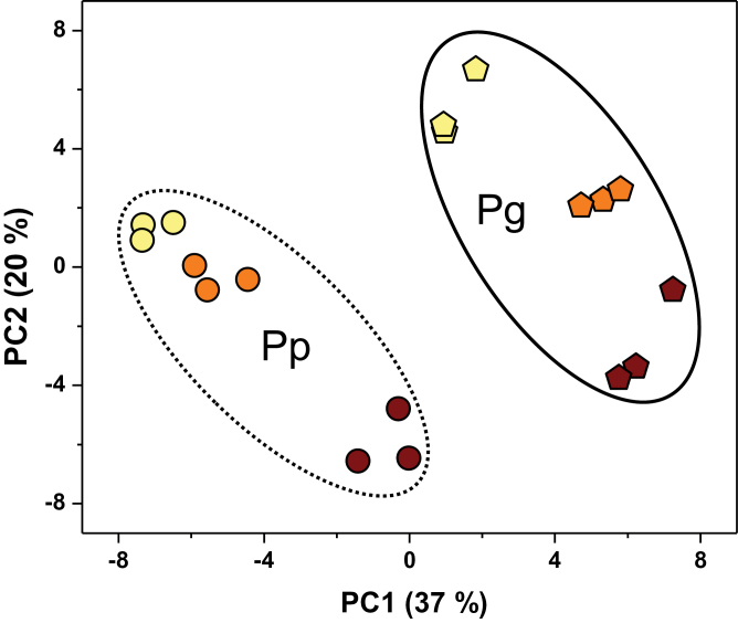 Fig. 7.