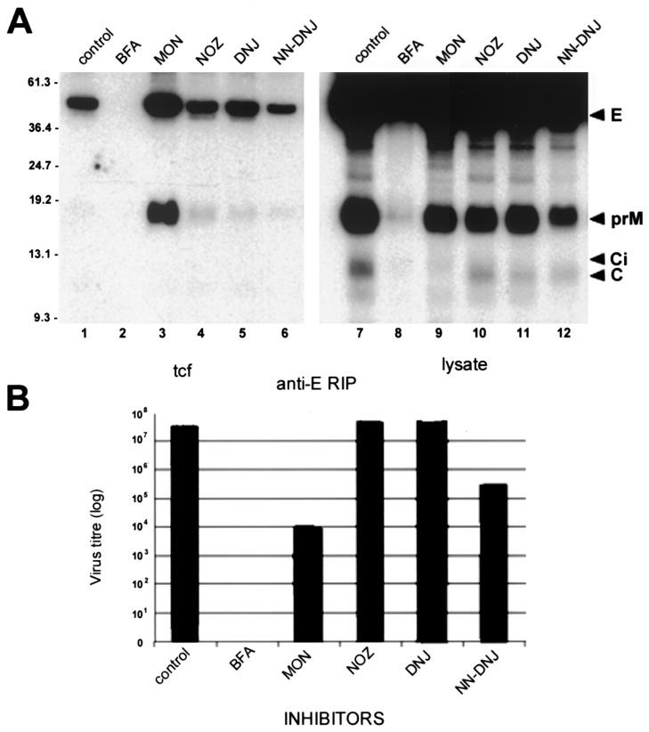 FIG. 5