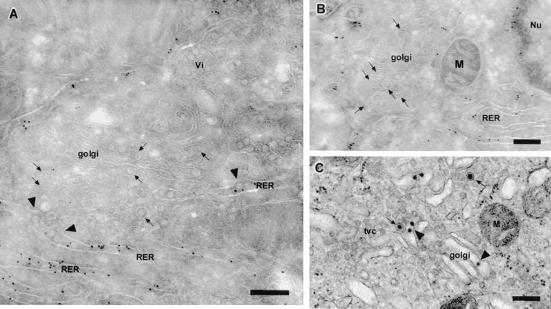 FIG. 6