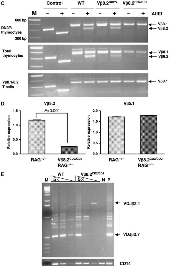 Figure 2b