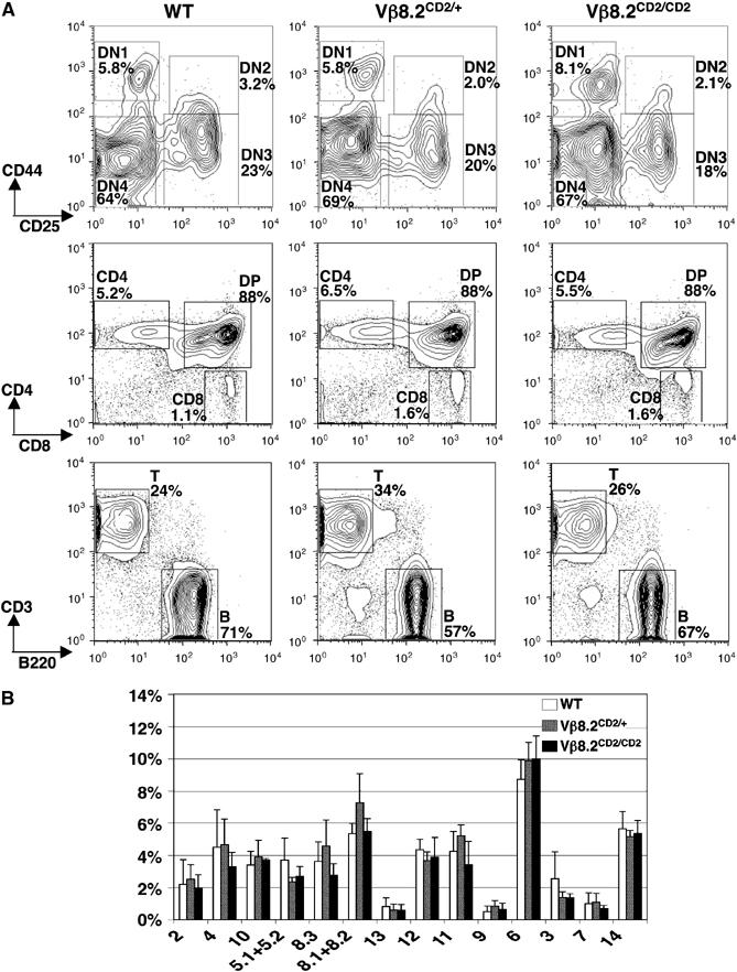 Figure 2a