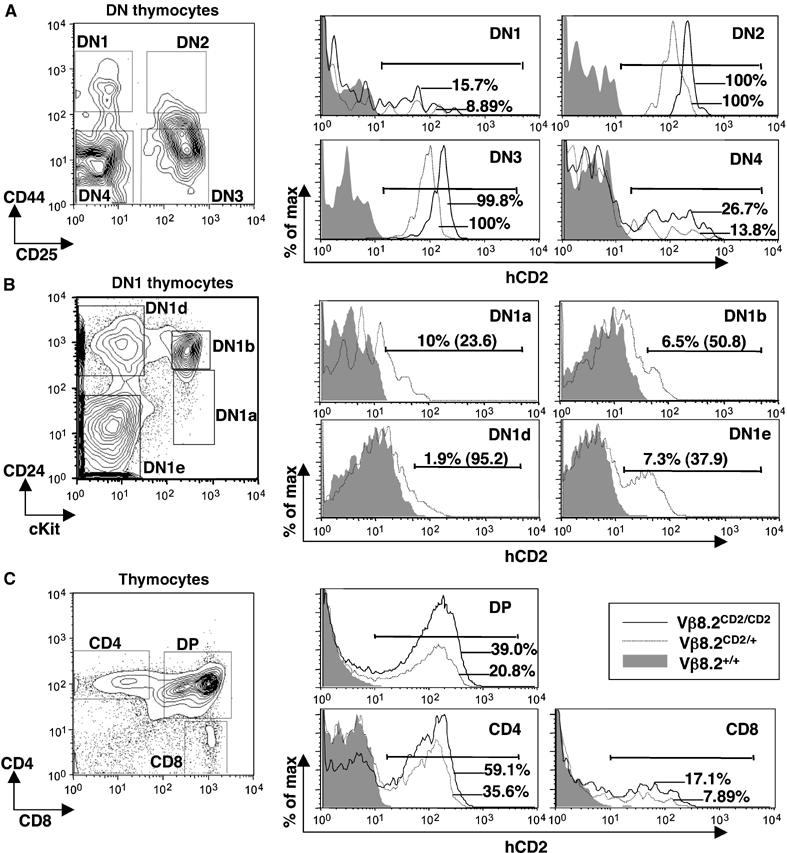 Figure 3a