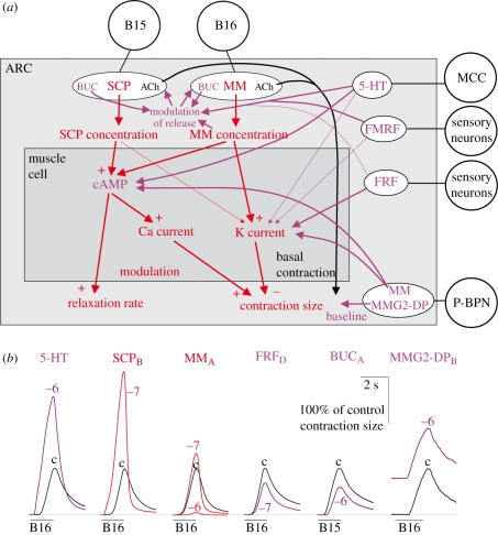 Figure 2.