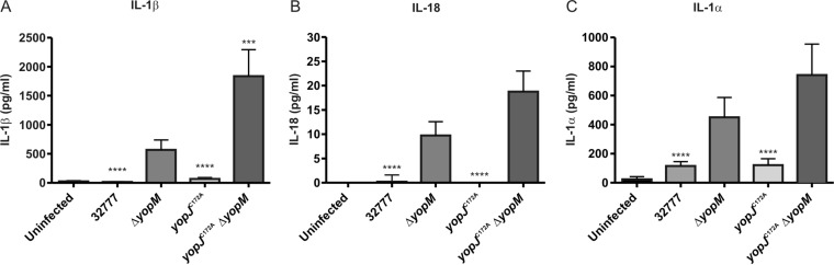 FIG 2