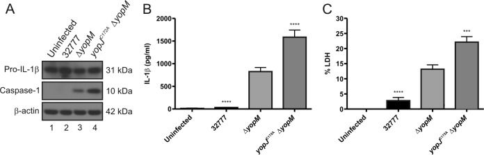 FIG 3