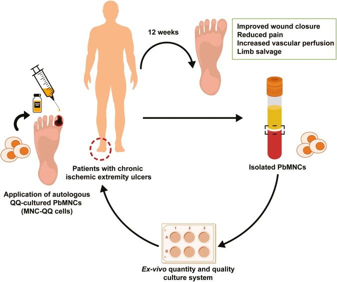 Graphical Abstract