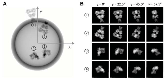 Fig. 2