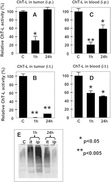 Figure 6