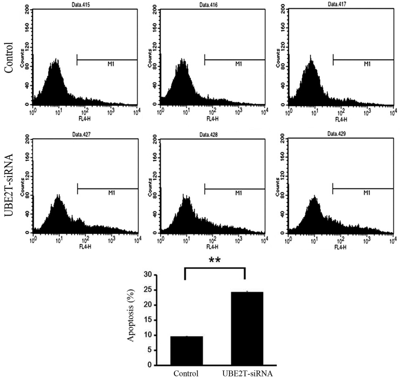 Figure 5.