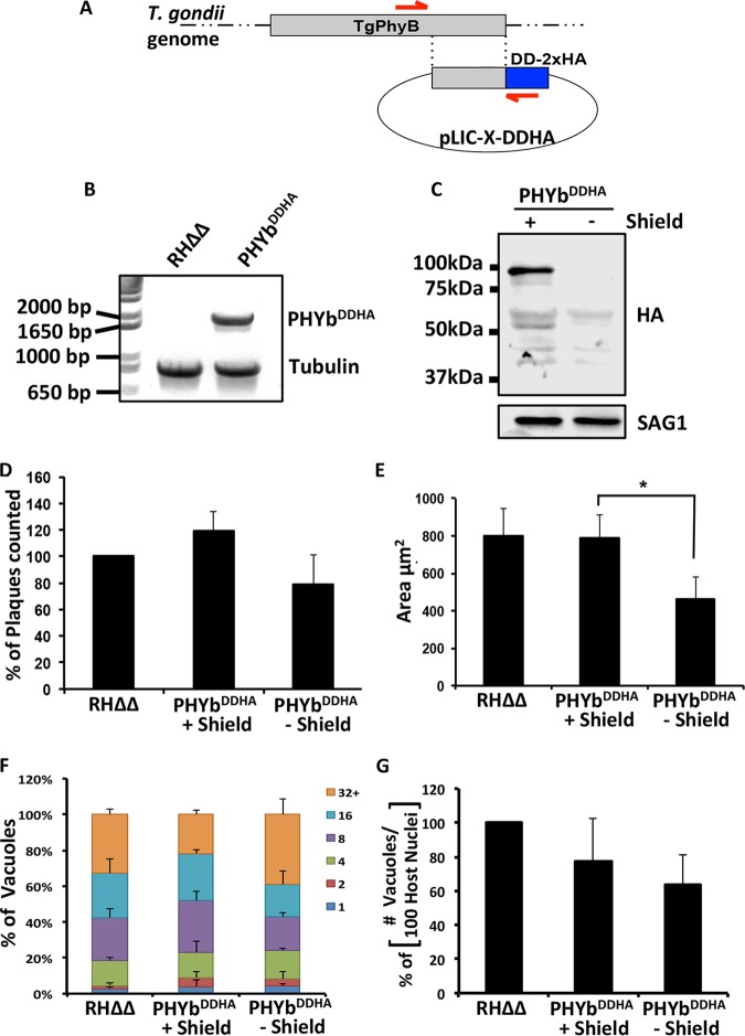 FIG 2