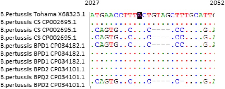 Fig. 4