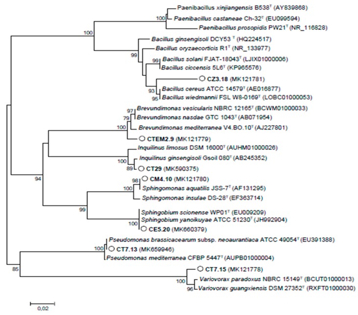 Figure 4