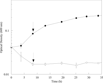 Fig. 5.