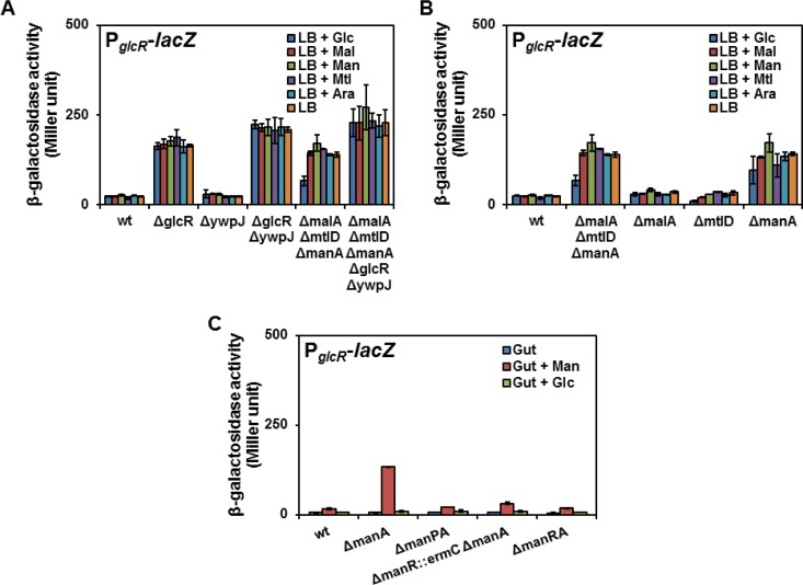 FIG 3