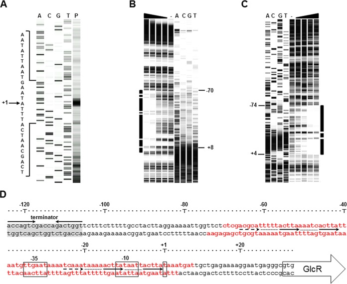 FIG 4