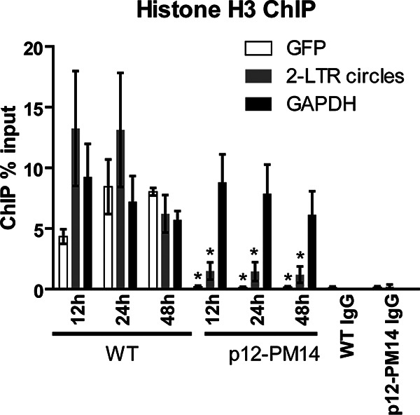 FIG 2