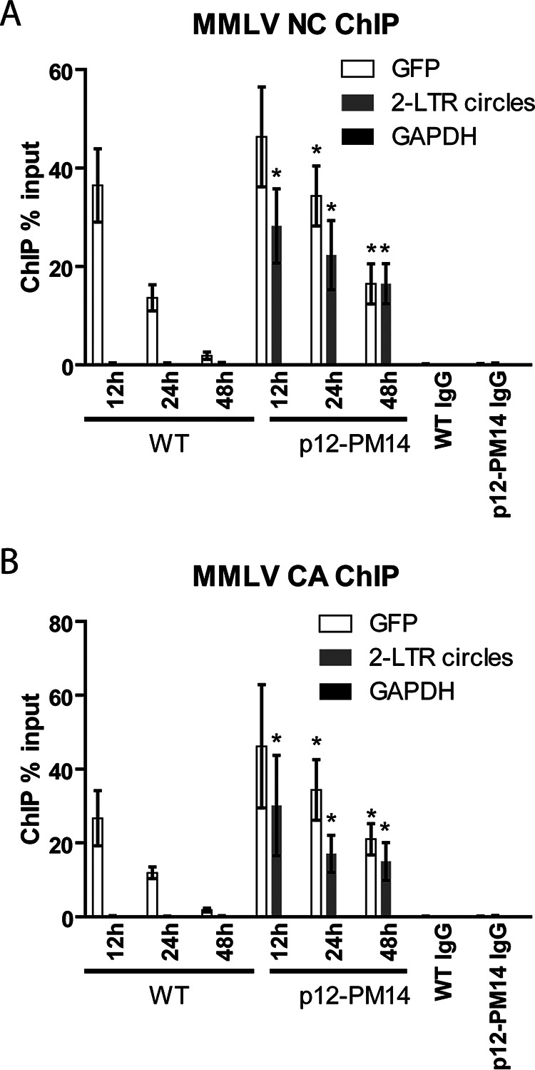 FIG 3