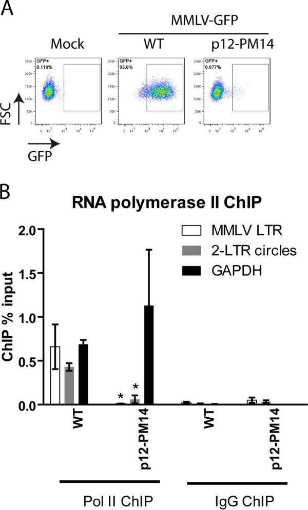 FIG 4