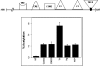 Fig 3.