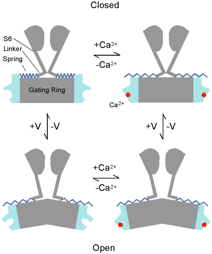 Figure 12.