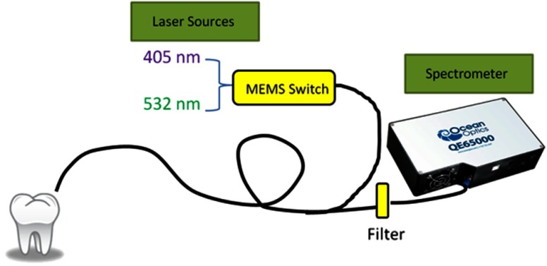 Fig. 2