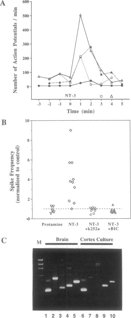 graphic file with name pnas01147-0584-a.jpg