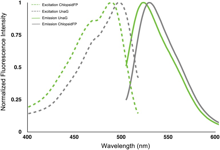 Fig 6