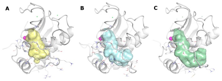 Figure 7