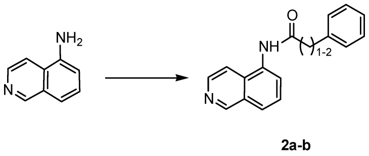 Scheme 2