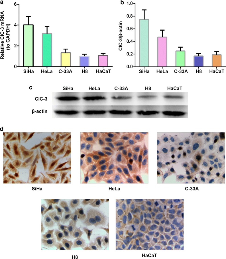 Fig. 4