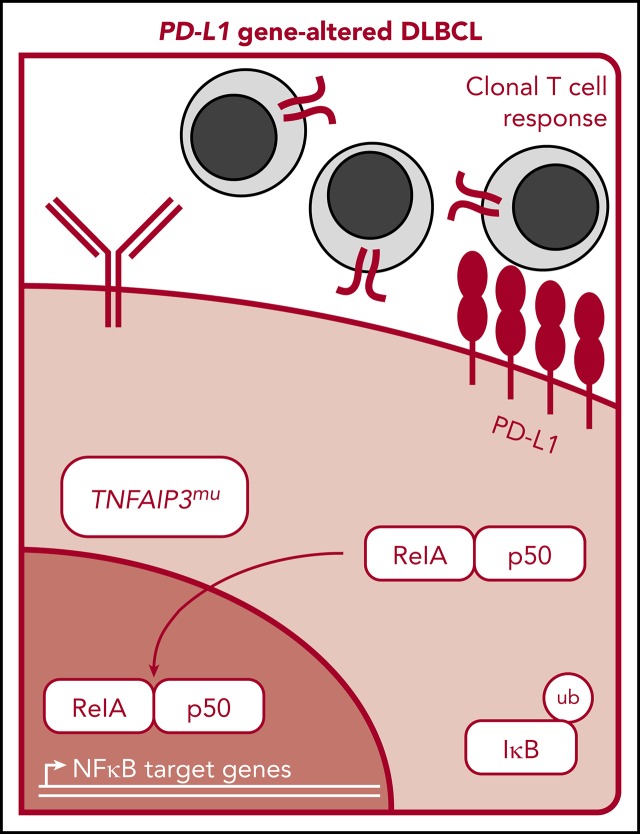 graphic file with name blood879015absf1.jpg