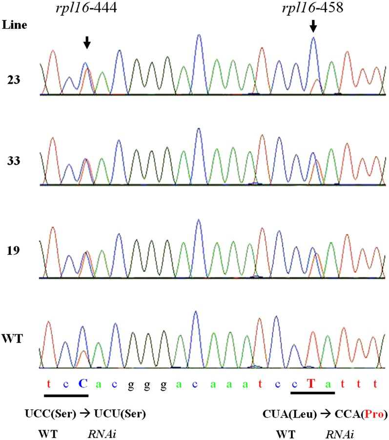 Figure 10.