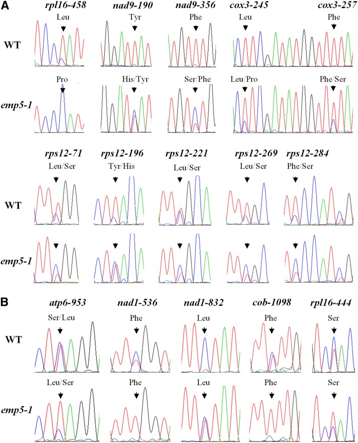 Figure 6.