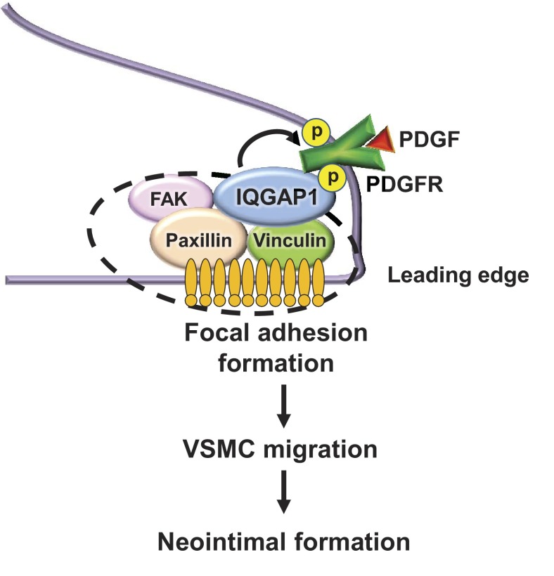 Fig. 8.