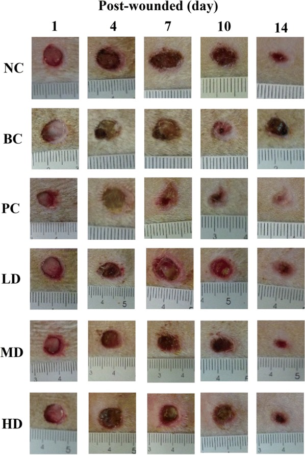 Fig. 3