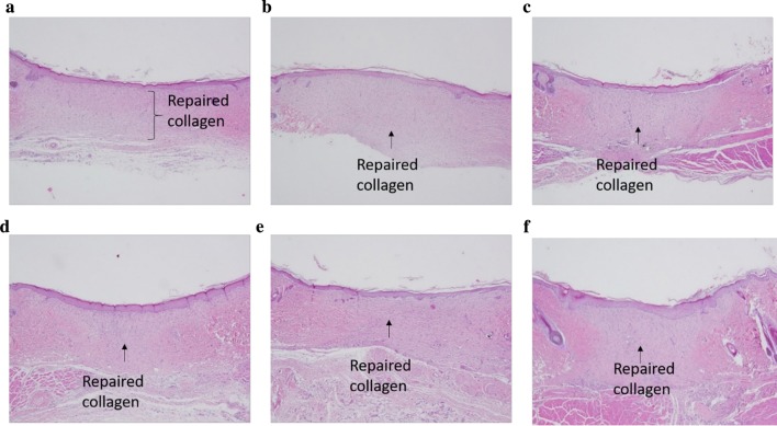 Fig. 7