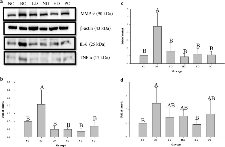 Fig. 4